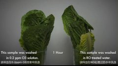 食品加工用臭氧延長(zhǎng)保質(zhì)期